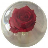 Clear Rose Polyester - OTB
