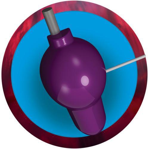 The Hitter Pearl (DISCO)